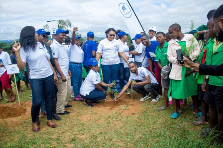 FDH Bank targets to care for 1 million trees