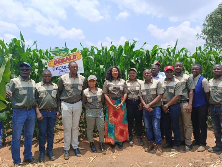 Bayer Malawi launches new maize variety DKC80-23
