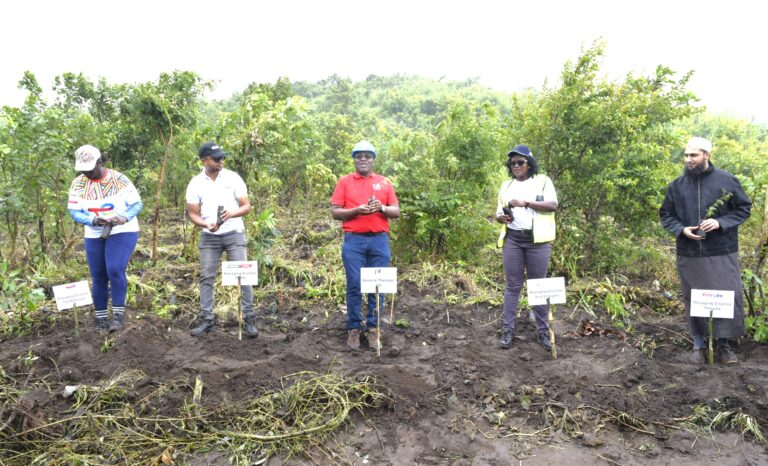 PIL plants 6000 trees in Soche Mountain